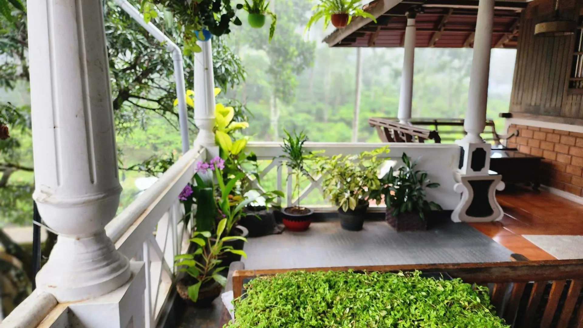 Séjour chez l'habitant Kairali Palace Home Stay Thekkady Inde